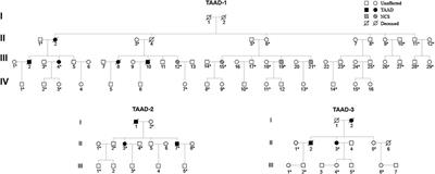 Whole-Exome Sequencing Identified Genes Responsible for Thoracic Aortic Aneurysms and Dissections in three Chinese Families